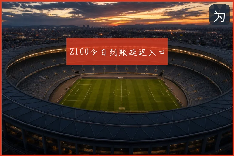 Z100今日到账延迟入口